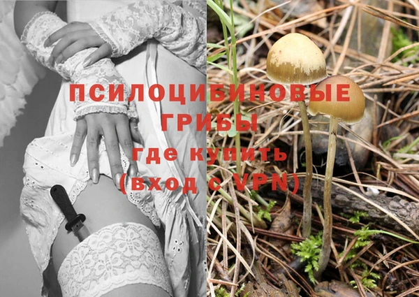 твердый Белокуриха